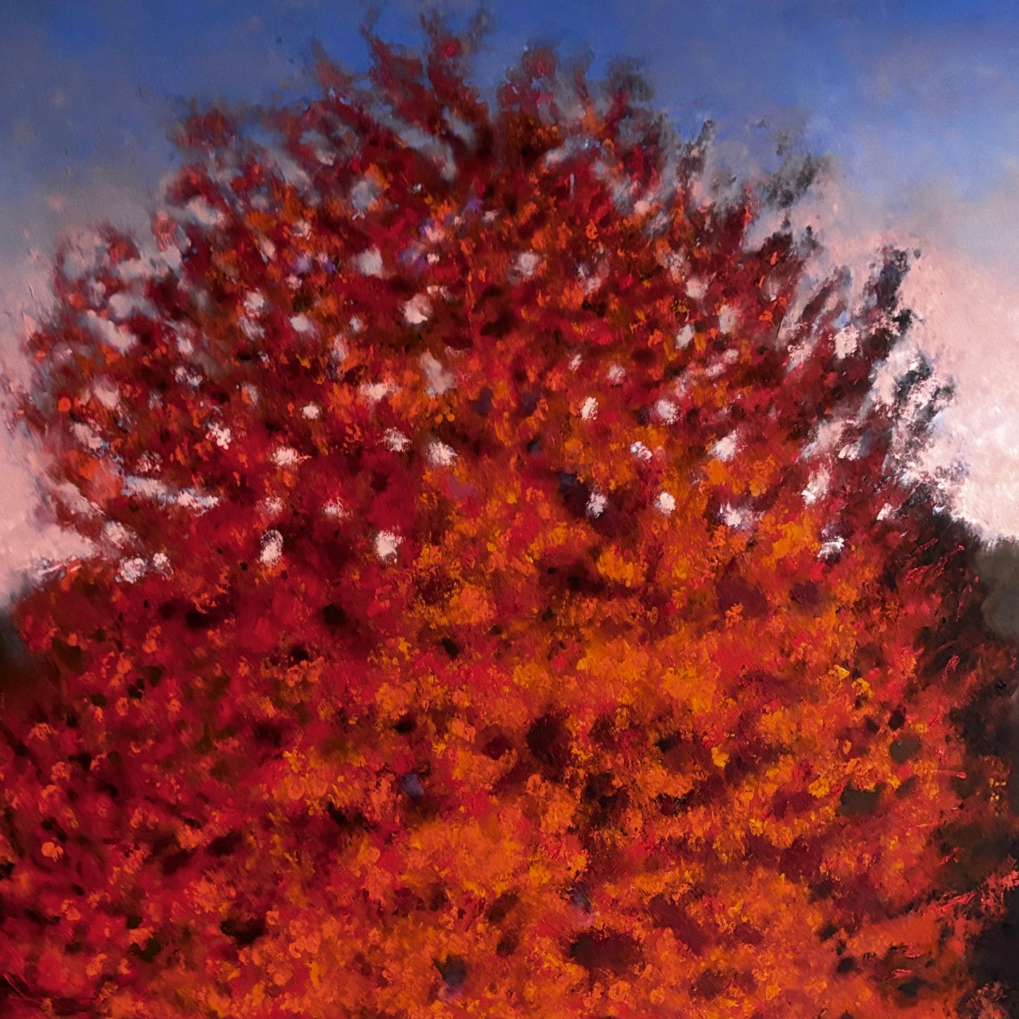 Árbol rojo