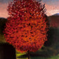 Árbol rojo