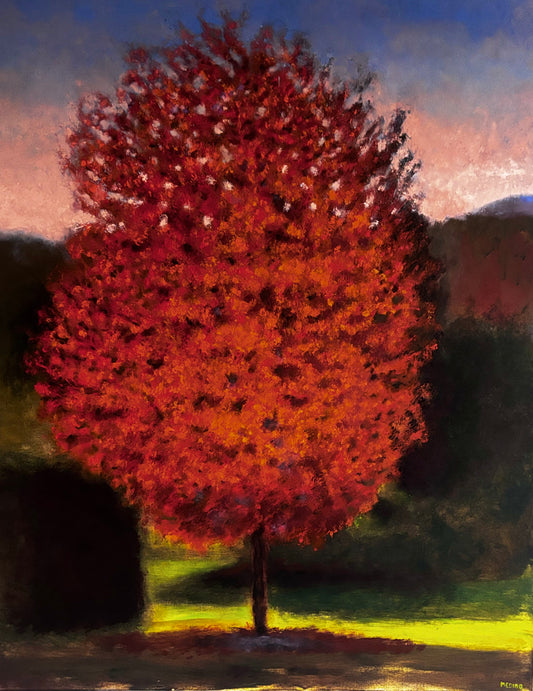 Árbol rojo