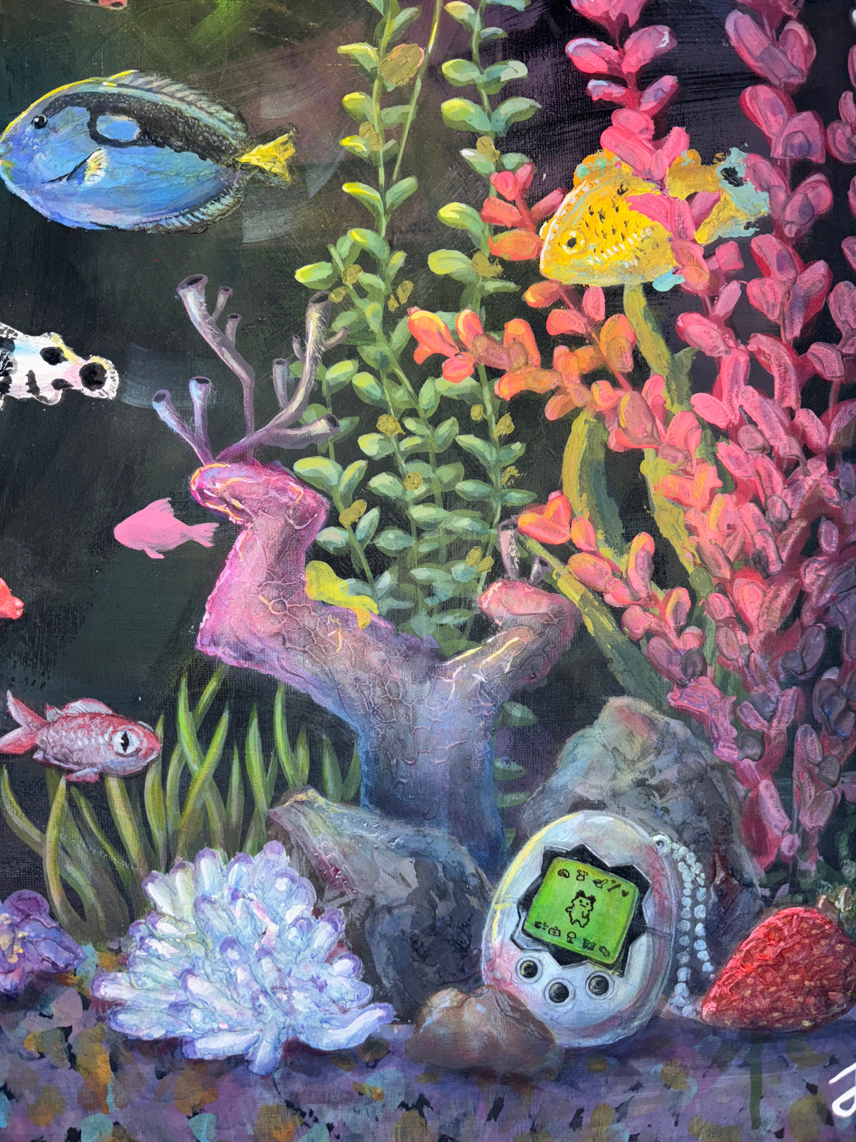 Pez de agua dulce - Cuadro decorativo