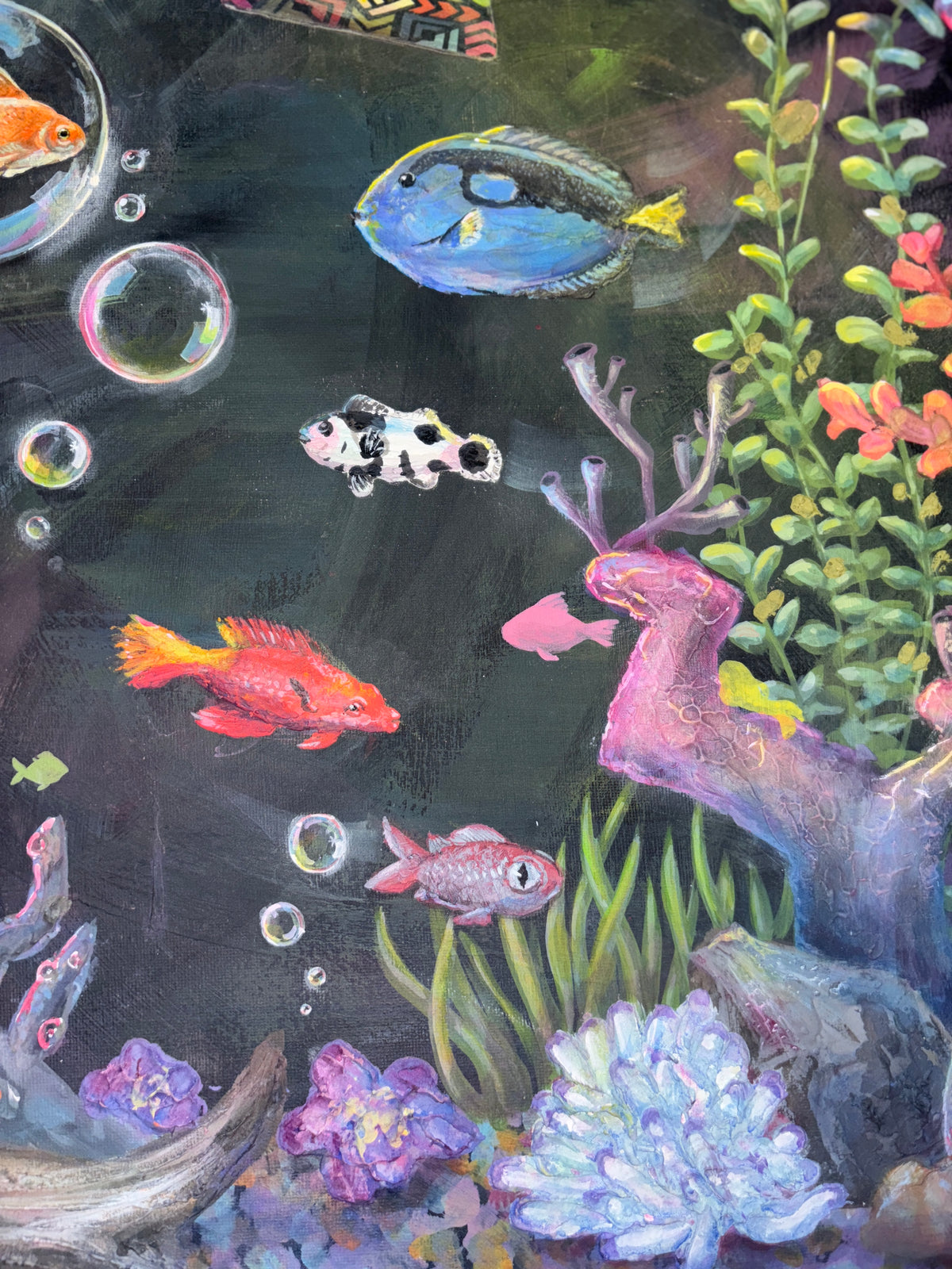 Pez de agua dulce - Cuadro decorativo