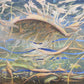 Paisaje en desarrollo