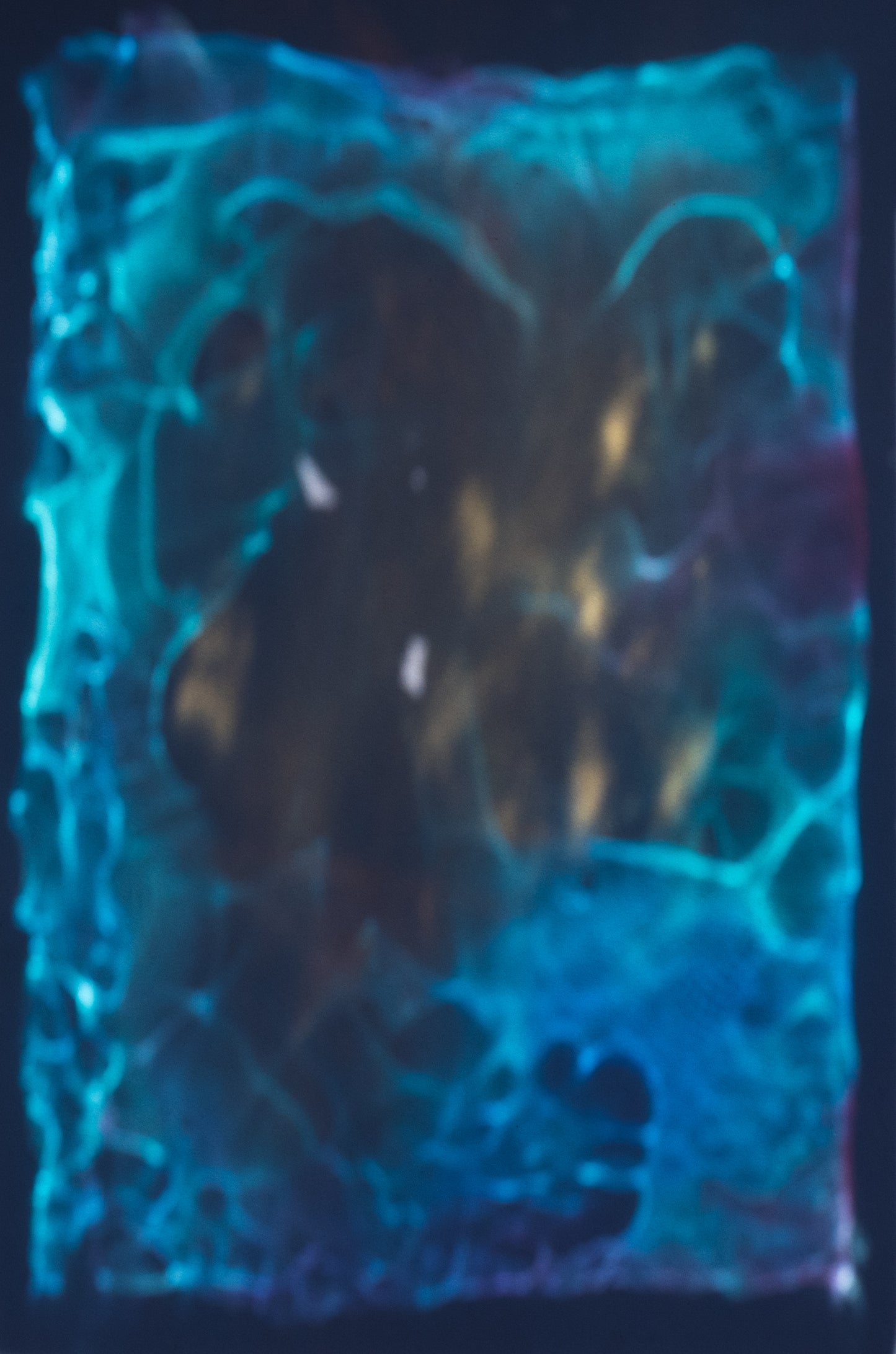Arte contemporáneo - Oso