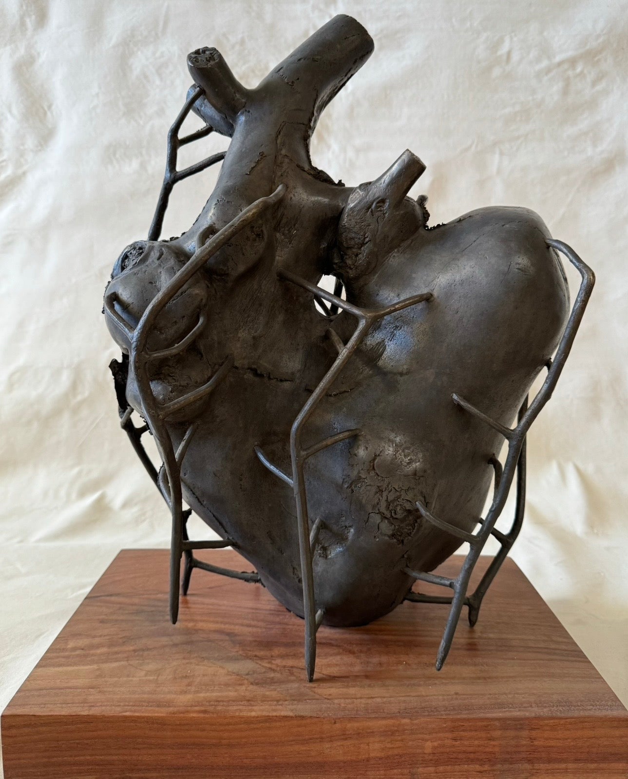Corazón atrapado