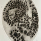 Bacteria
