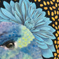 Colibrí Zurdo