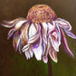 Flor vieja