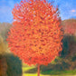 Árbol rojo