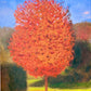 Árbol rojo