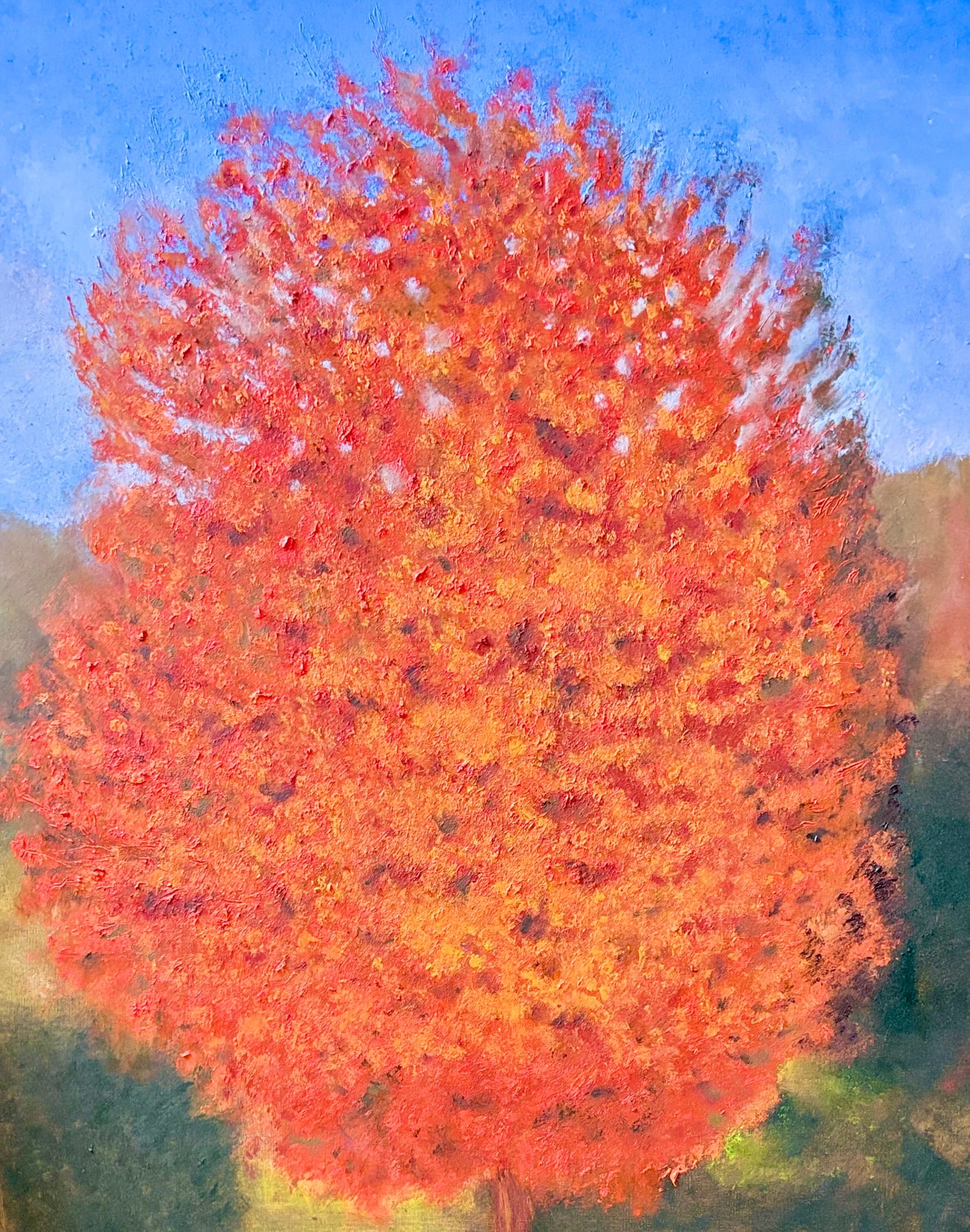 Árbol rojo