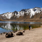 Fotografía de naturaleza - Nevado de Toluca