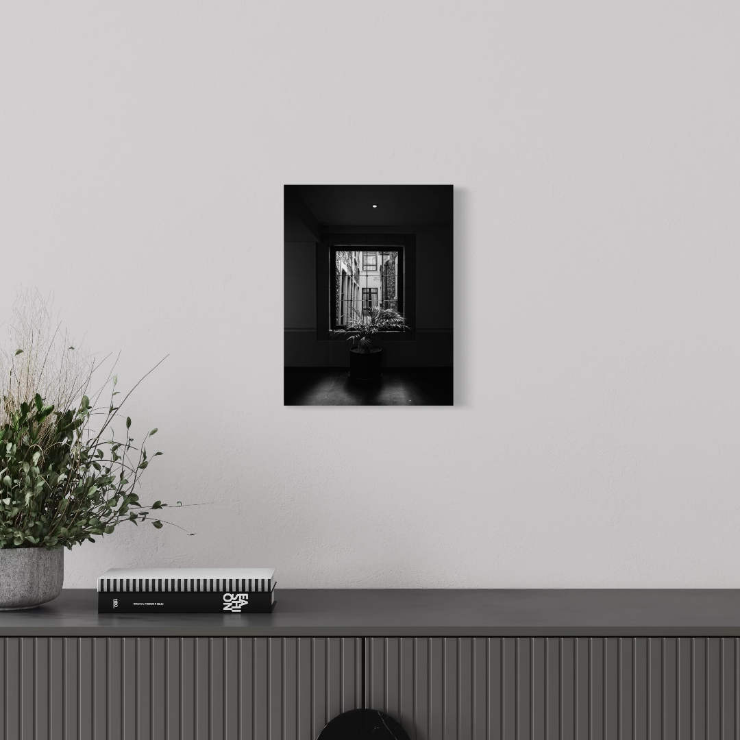 Fotografía blanco y negro - Luz