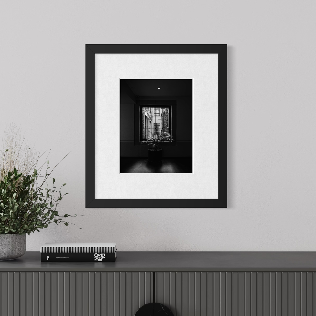 Fotografía blanco y negro - Luz