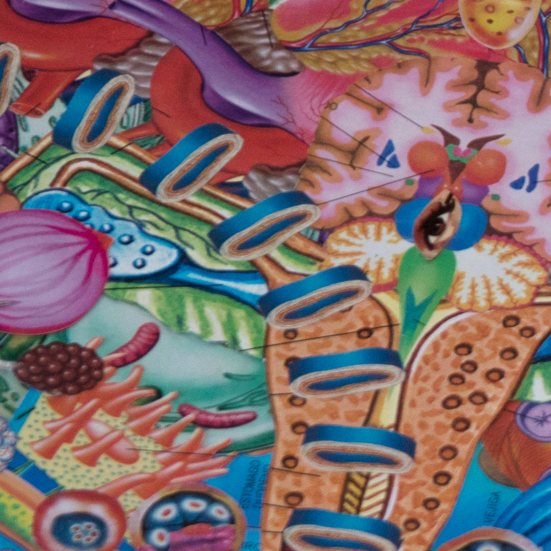 Obra de arte original - La inserción de la imaginación