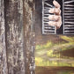 Obra de Arte Original - La Ventana