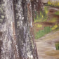 Obra de Arte Original - La Ventana