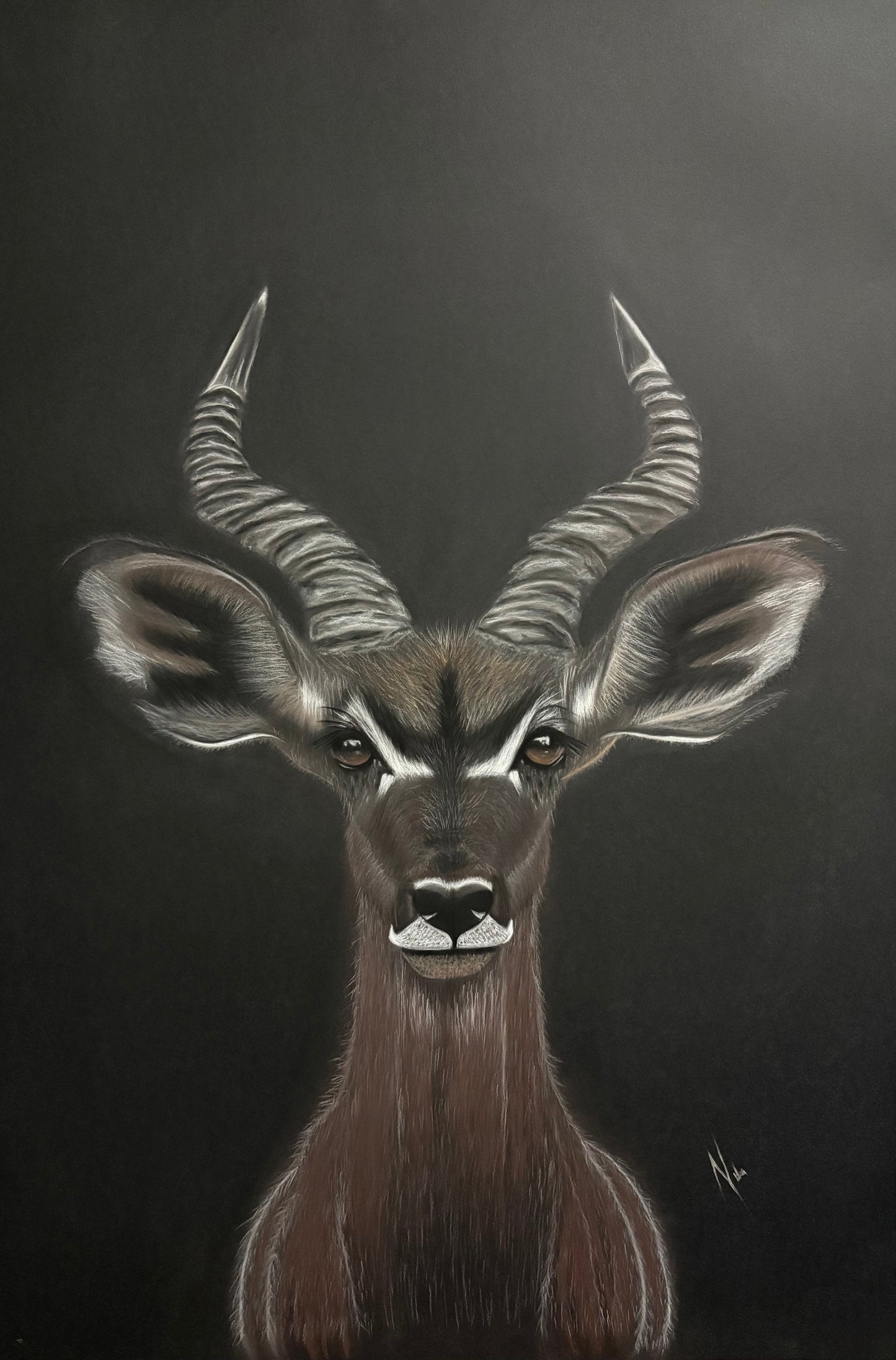 La sombra del kudu