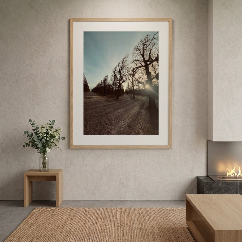 Fotografía artística - Liminal garden