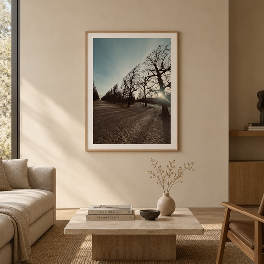 Fotografía artística - Liminal garden