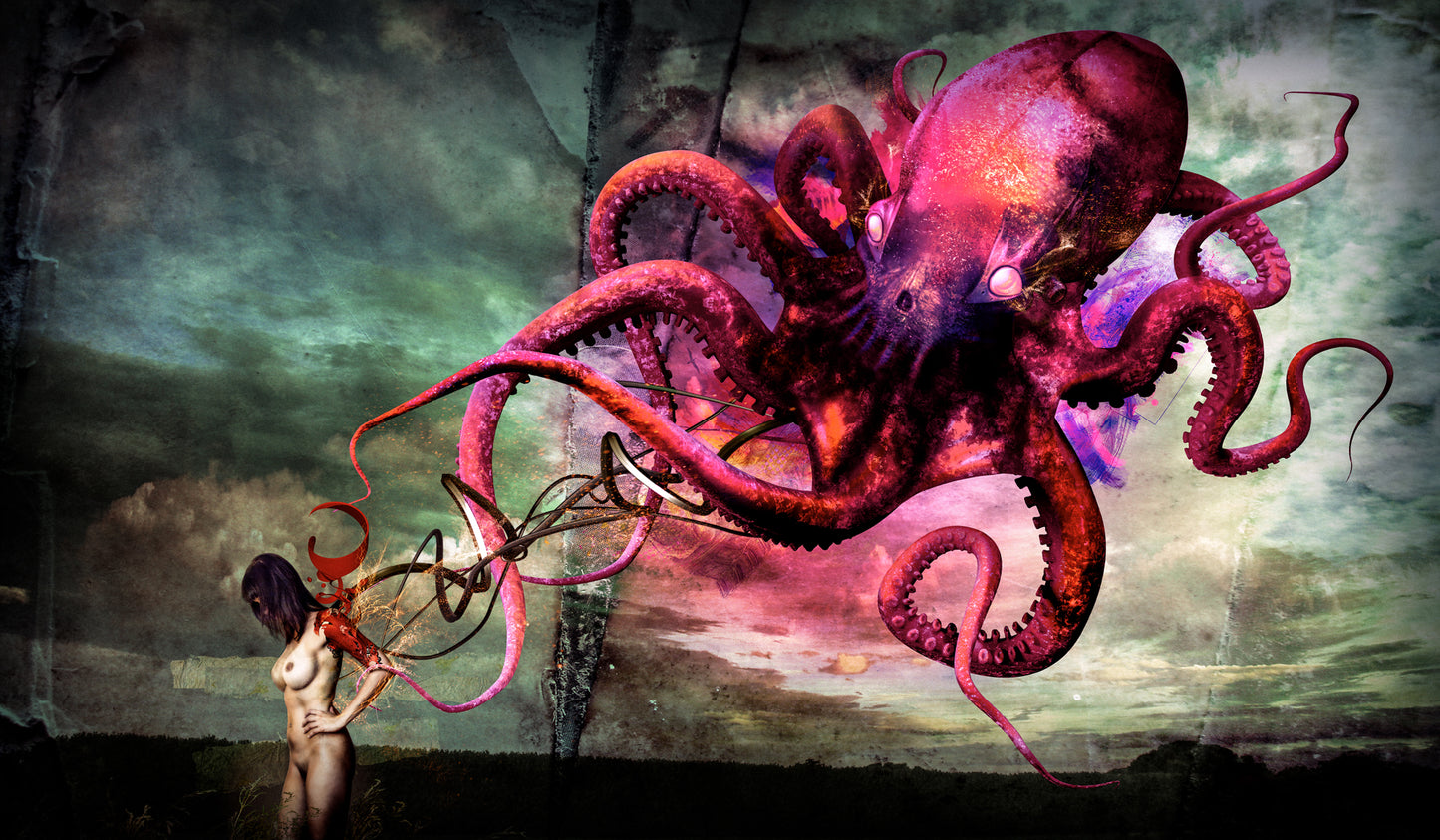 Cuadro Decorativo - Pulpo Rojo 2.0