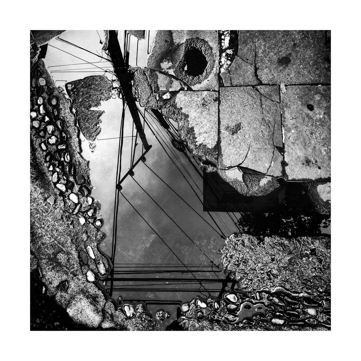 "Reflejos de Álamos"