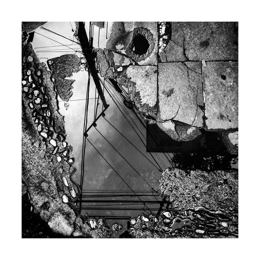 "Reflejos de Álamos"