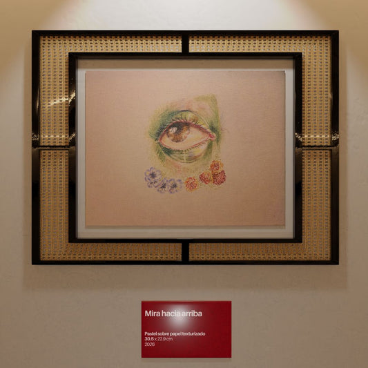 Dibujo al Pastel - Mira hacia arriba