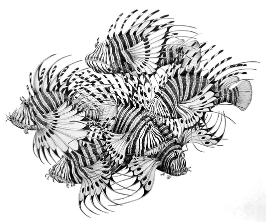 Nudo de peces