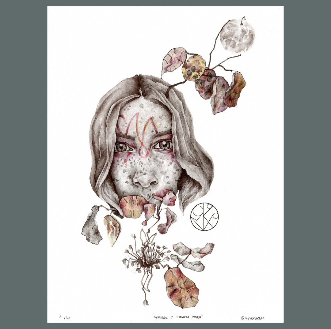 Nymphae 2. Lunaria Annua