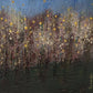 Ecos de Luz