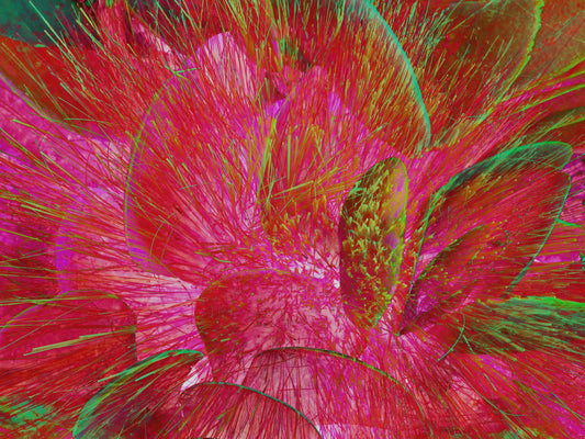 FLORES ROJAS CON VERDE