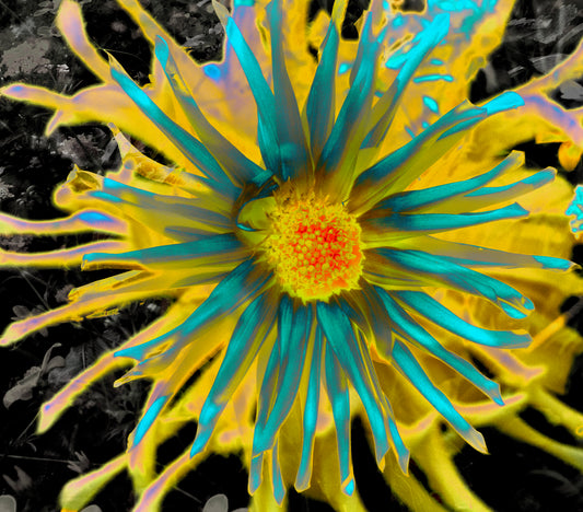 FLOR VERDE CON AMARILLO