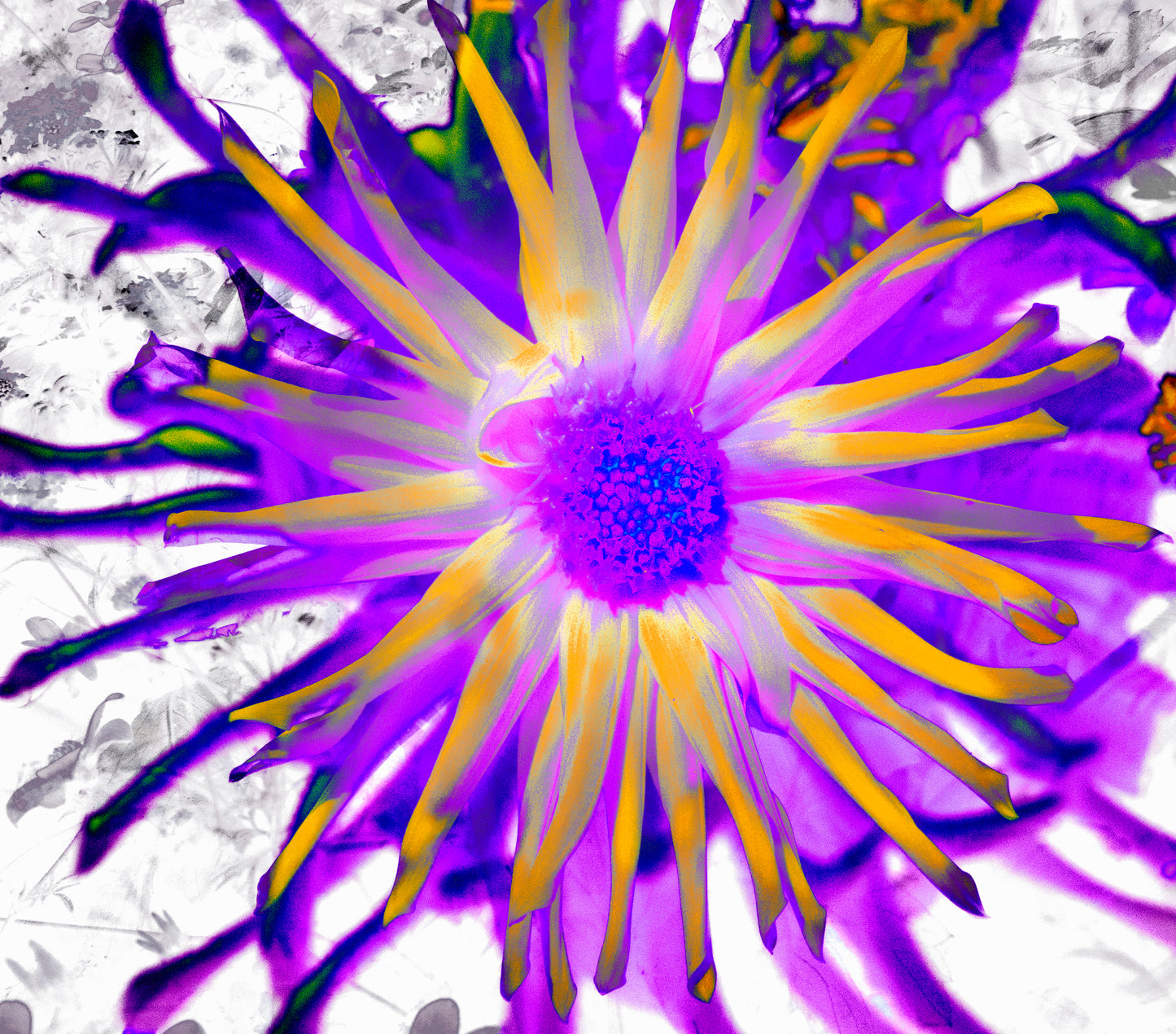 FLOR MORADA CON AMARILLO