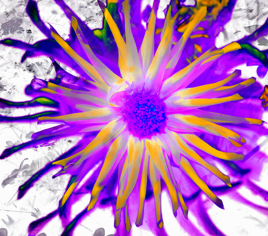 FLOR MORADA CON AMARILLO