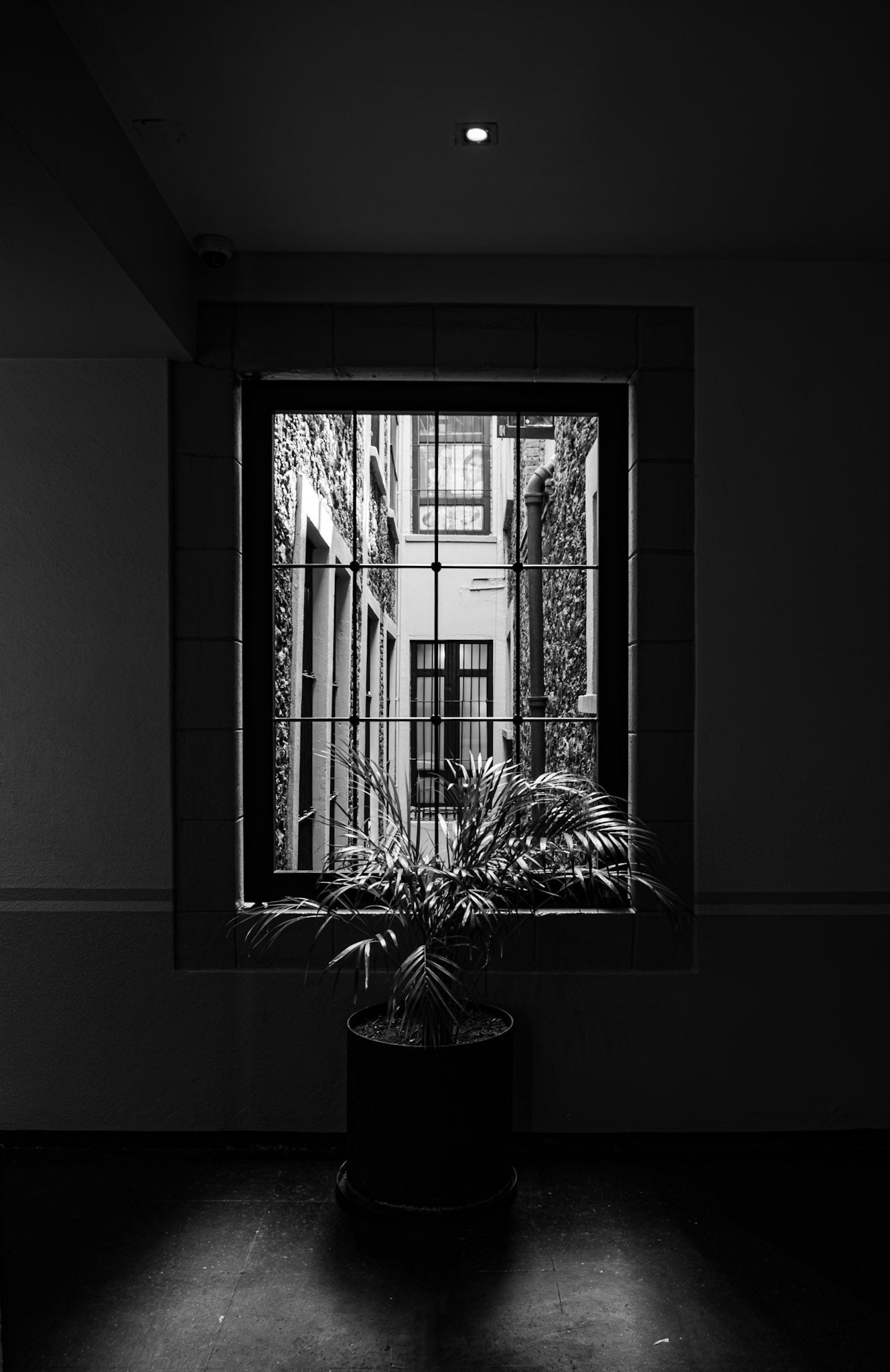 Fotografía blanco y negro - Luz