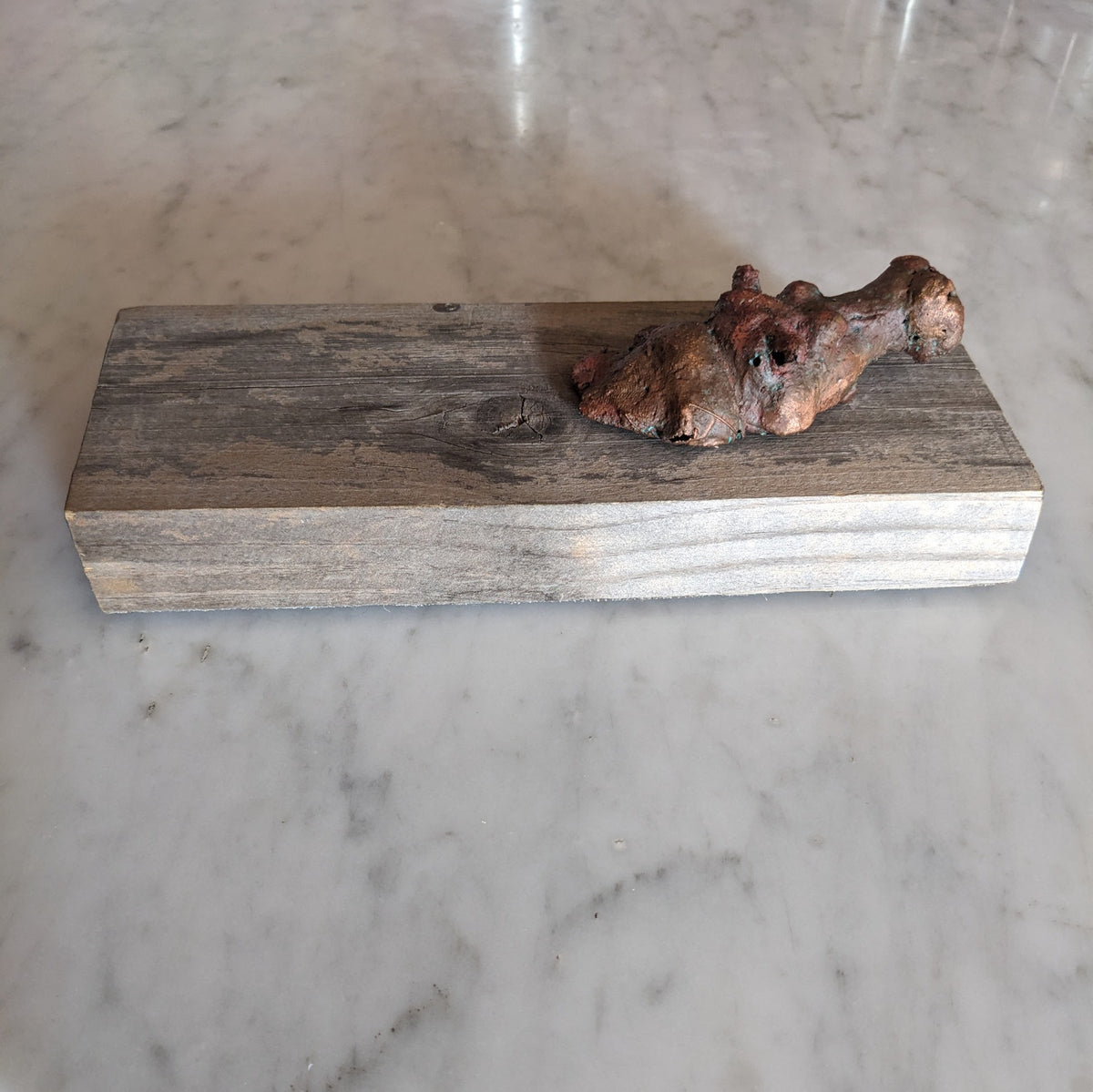 Escultura - Caballo de rio