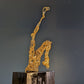 Escultura - Tierra en agonía