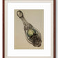 Cuadro decorativo - Perfume