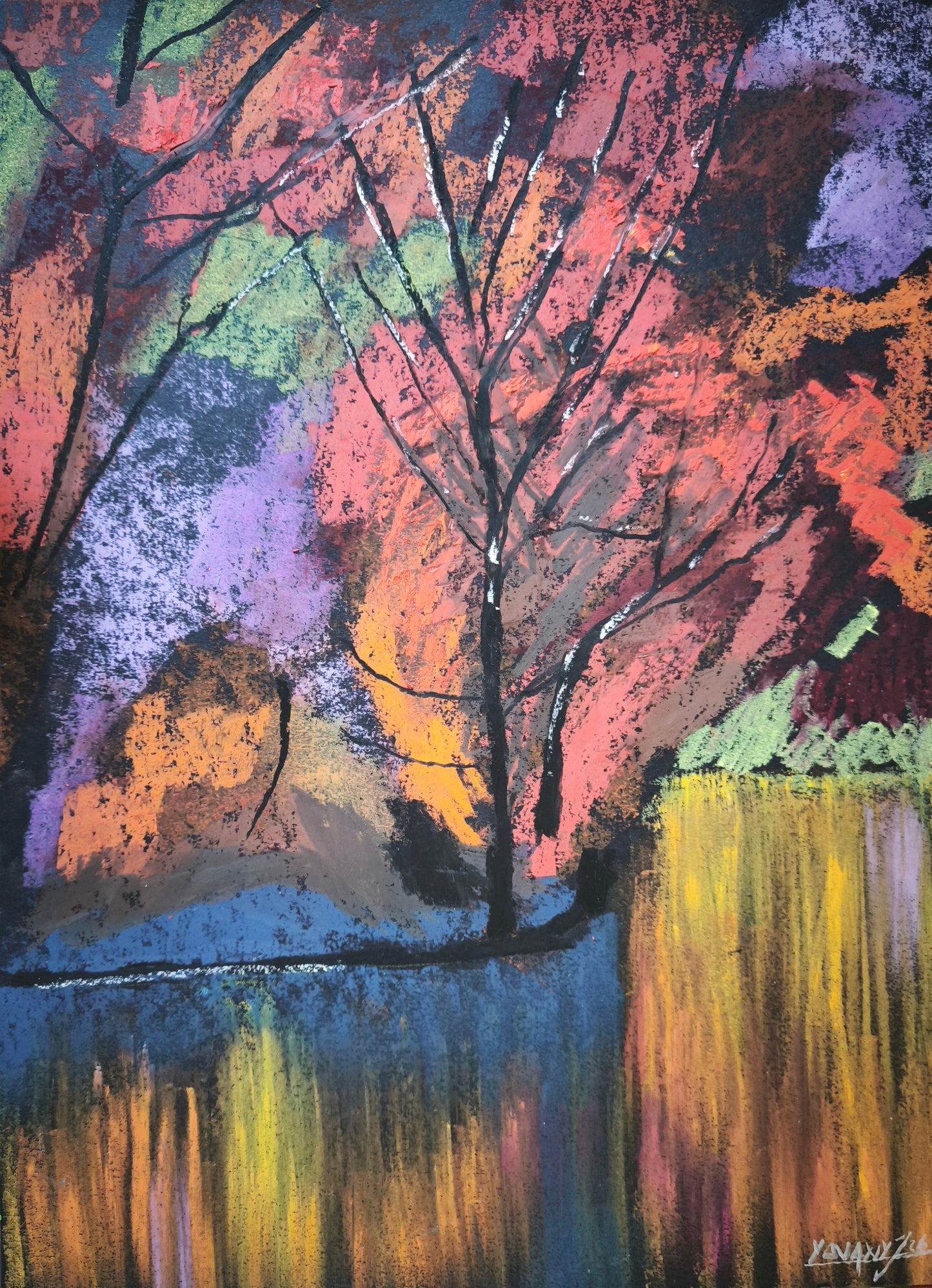 Bosque en Espejo