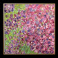 Primavera