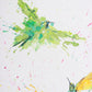 EL MENSAJE DE BRASIL (Colibríes volando)
