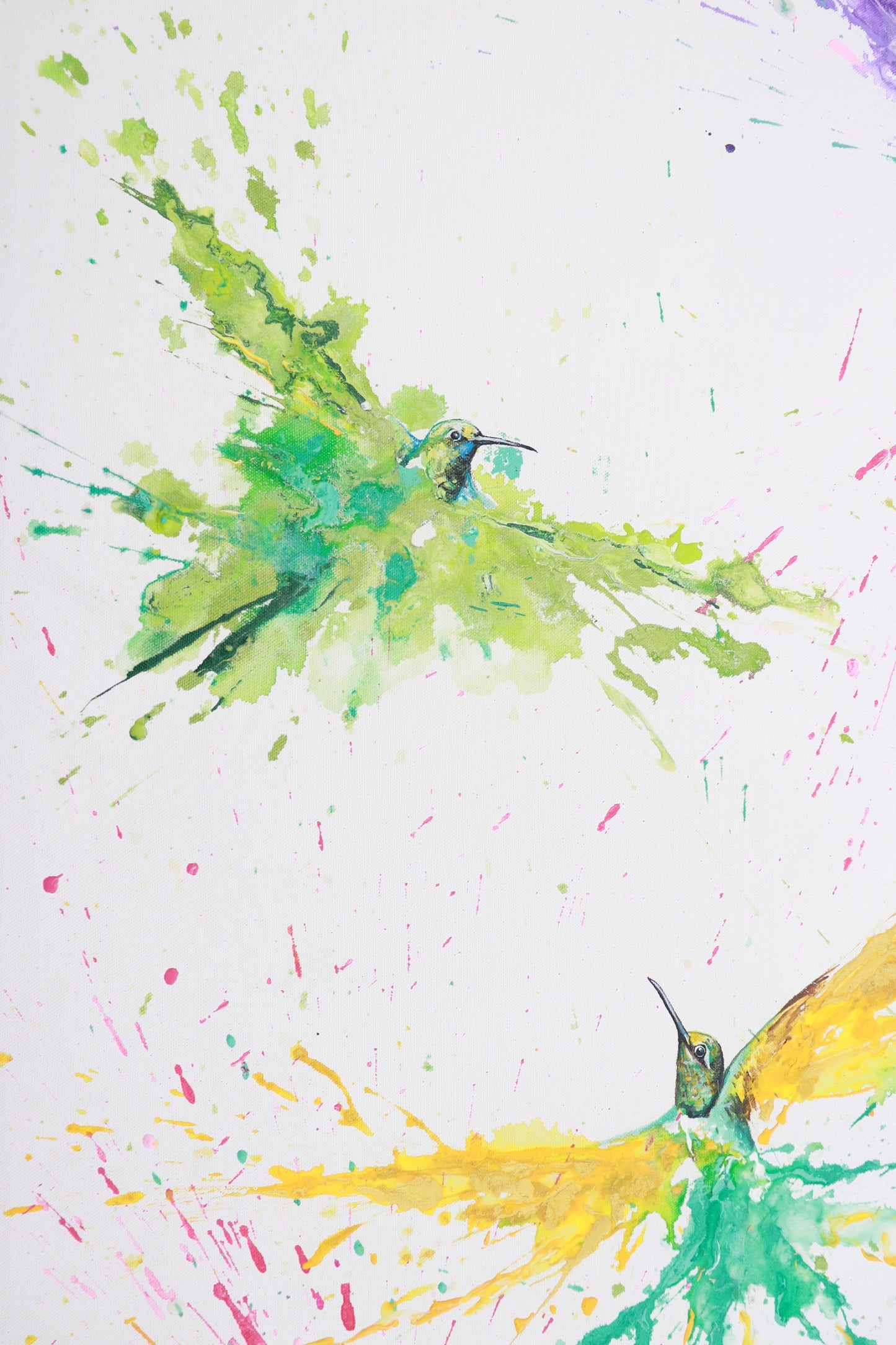 EL MENSAJE DE BRASIL (Colibríes volando)
