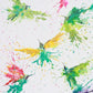 EL MENSAJE DE BRASIL (Colibríes volando)