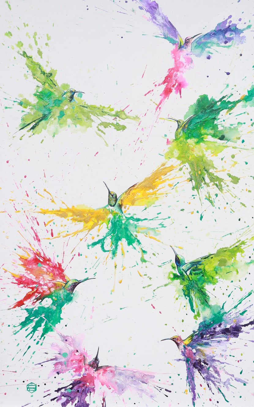 EL MENSAJE DE BRASIL (Colibríes volando)