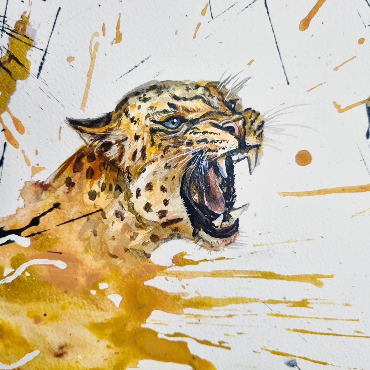 La manchas del JAGUAR y los MONOS