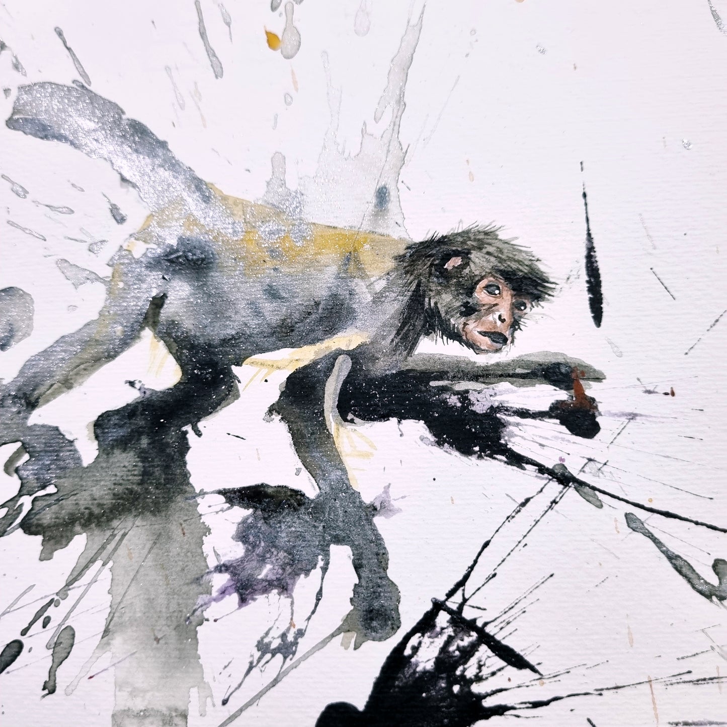 La manchas del JAGUAR y los MONOS