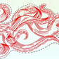 kraken