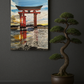 Torii