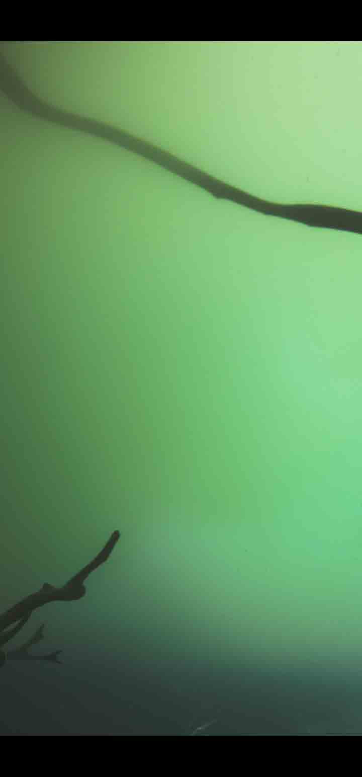 Memorias del Agua