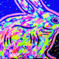 Cuadro Decorativo Neon - Conejo